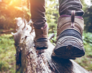 Person hiking on a log in a forest, wearing hiking boots, surrounded by greenery and natural sunlight.